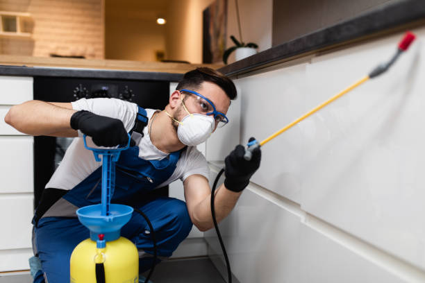 Best Affordable Pest Control Services  in Oak Grove, LA
