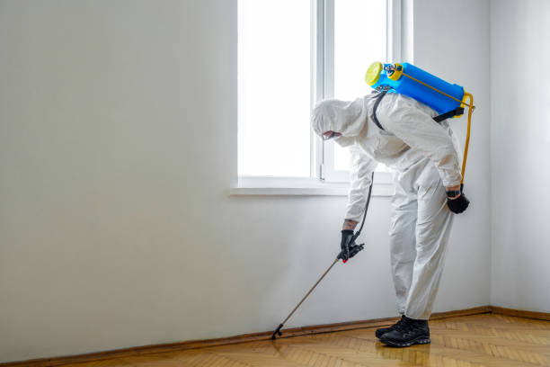 Best Termite Control Services  in Oak Grove, LA