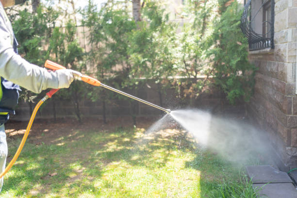 Spider Control Near Me in Oak Grove, LA