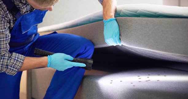 Best Pest Control Near Me  in Oak Grove, LA