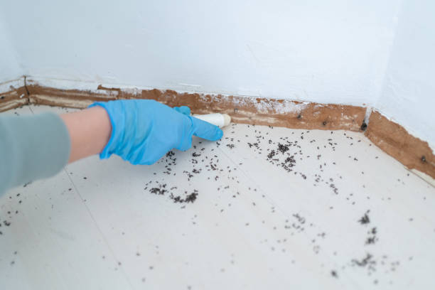 Best Residential Pest Control  in Oak Grove, LA